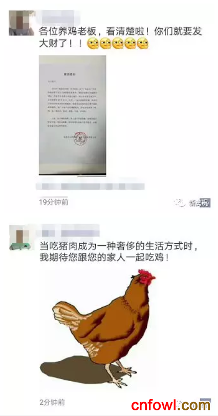 珠三角陷入“猪肉荒”？“鸡”会来啦！？