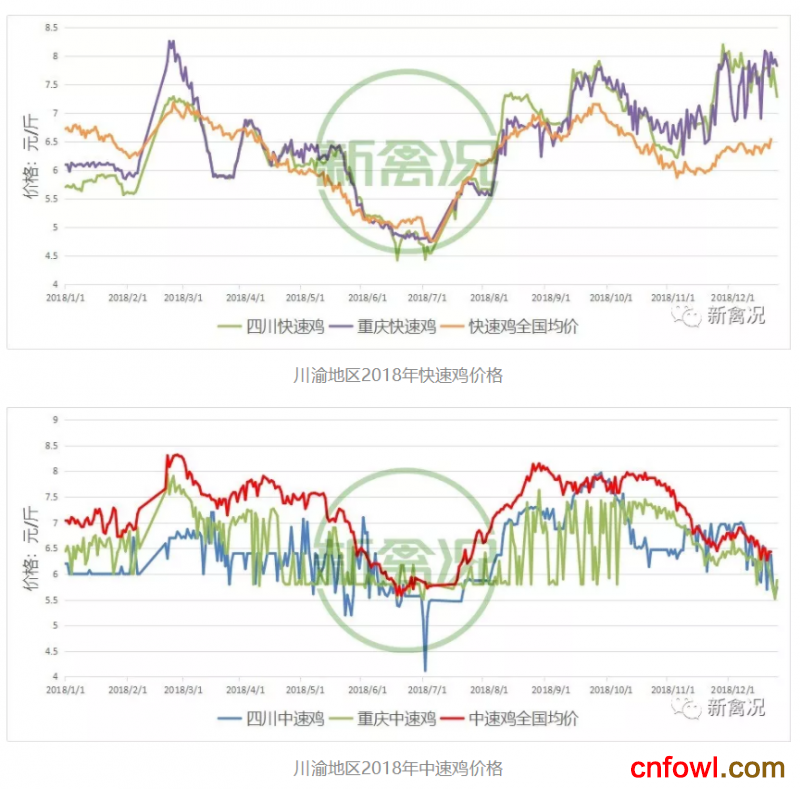西部告急？产能压缩致四川鸡价猛涨超50%！