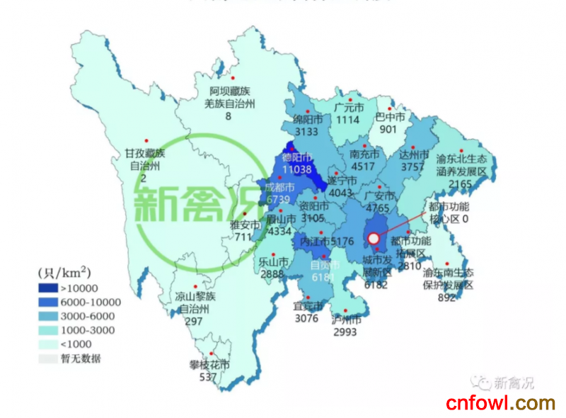 西部告急？产能压缩致四川鸡价猛涨超50%！