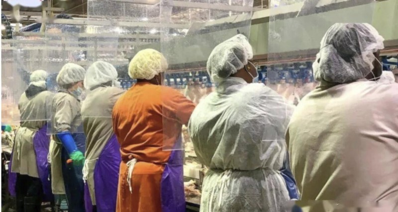 为什么偏偏是肉厂？丨英国肉类加工厂新冠爆发扩大，96确诊200隔离！