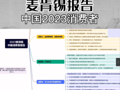 解读《2023麦肯锡中国消费者报告》-01